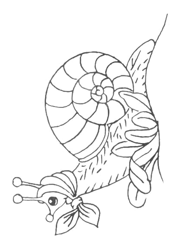 18 dessins de coloriage Orque Hugo L'escargot à imprimer
