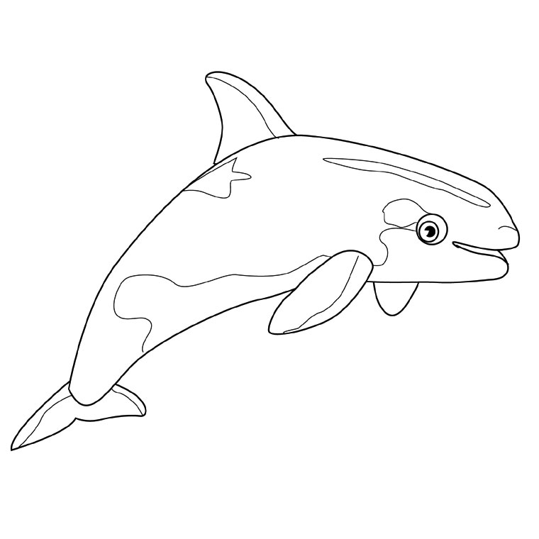 coloriage orque