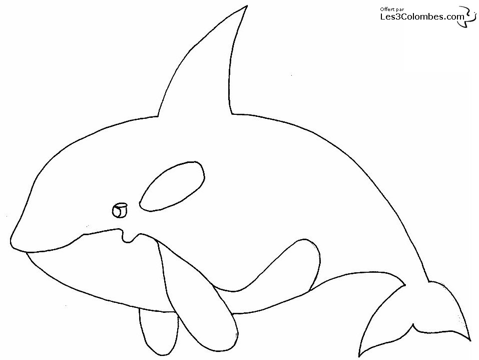dessin orque et dauphin