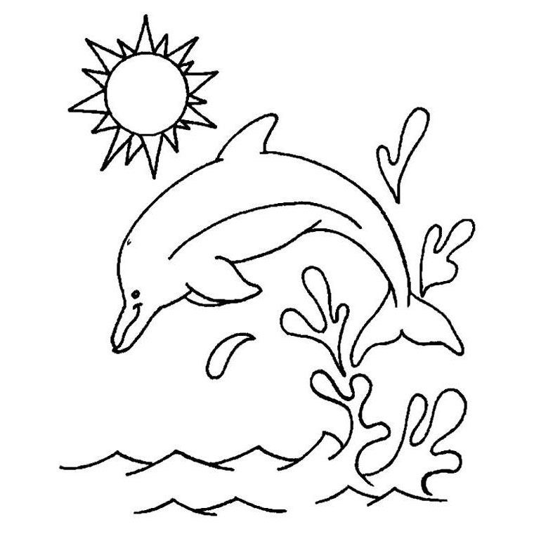 dessin orque coloriage à dessiner