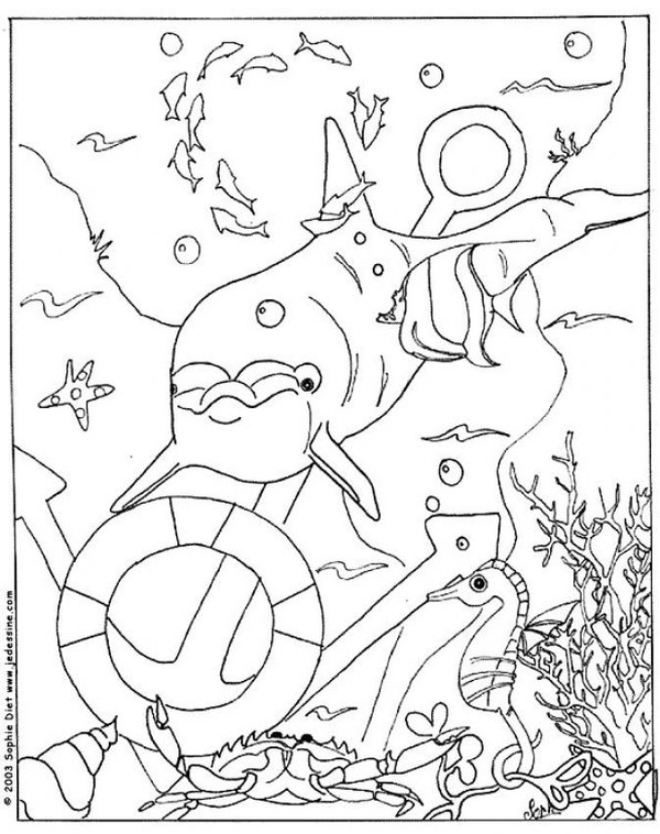 dessin gratuit à imprimer orque