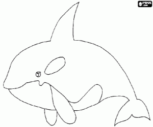 coloriage à dessiner d'orque