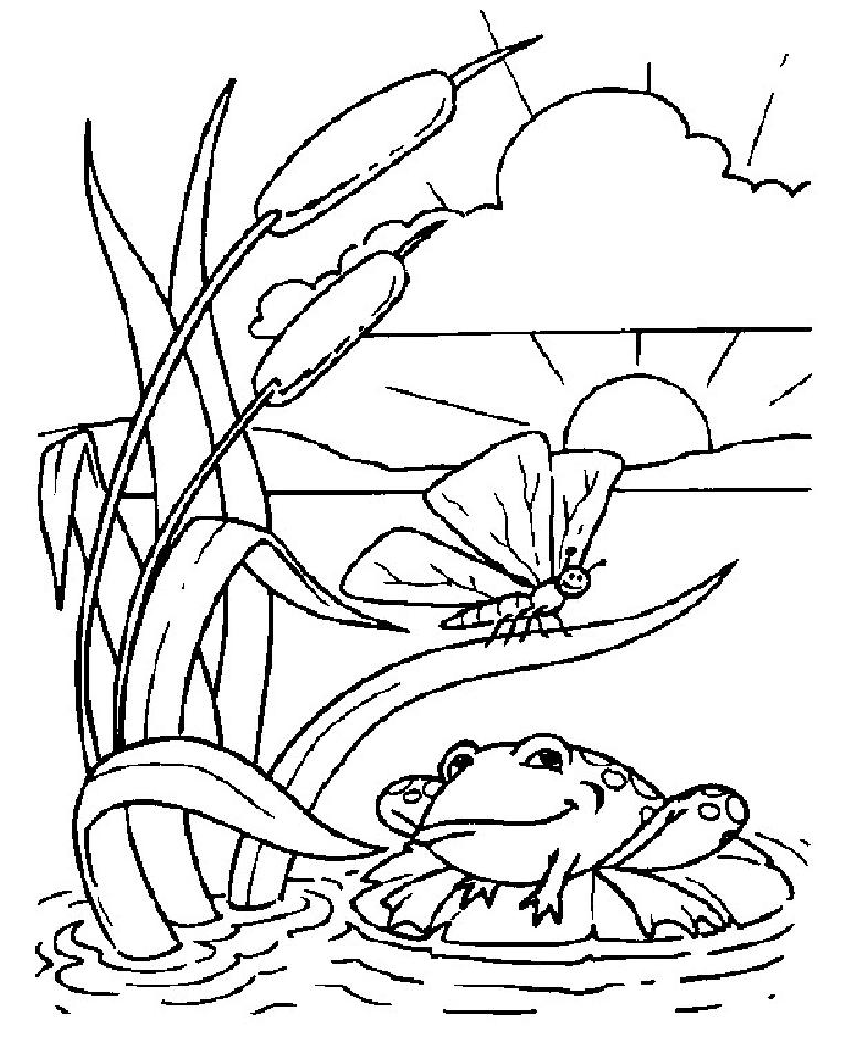 dessin orque imprimer gratuit