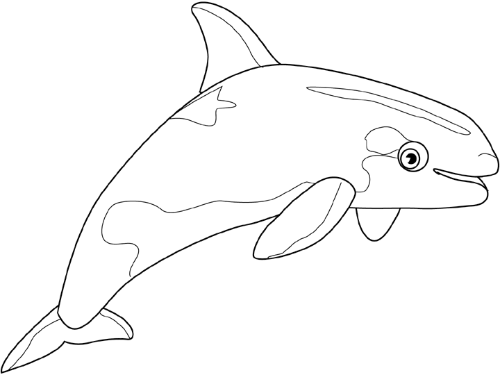 dessin à colorier gratuit à imprimer orque