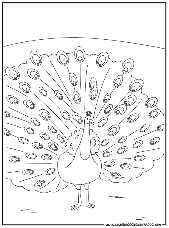 dessin à colorier orque imprimer gratuit
