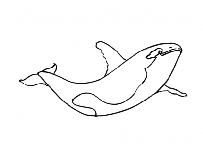 coloriage orque a imprimer gratuit