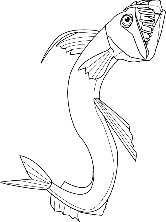 dessin à colorier orque ligne