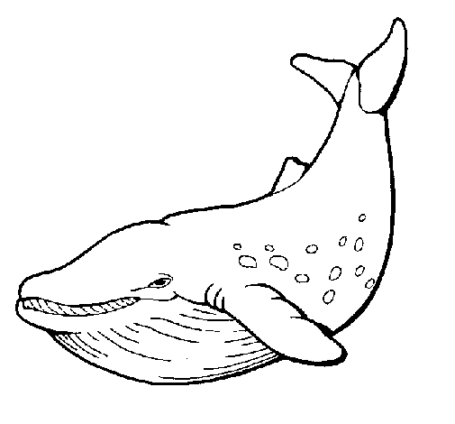 dessin à colorier orque seigneur des anneaux