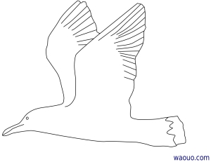 Coloriage Orque à colorier - Dessin à imprimer coloriage à dessiner orque imprimer