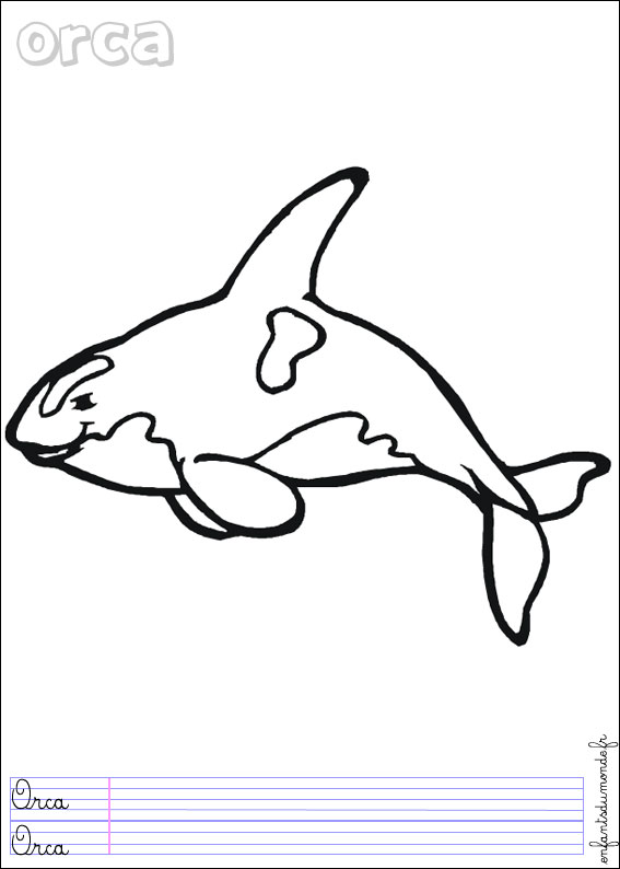 dessin orque seigneur des anneaux