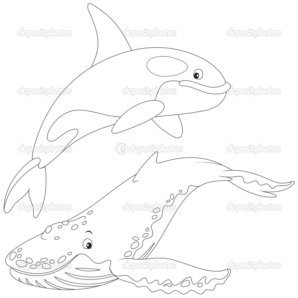 coloriage à dessiner orque