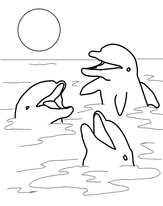 coloriage à dessiner orque a imprimer gratuit