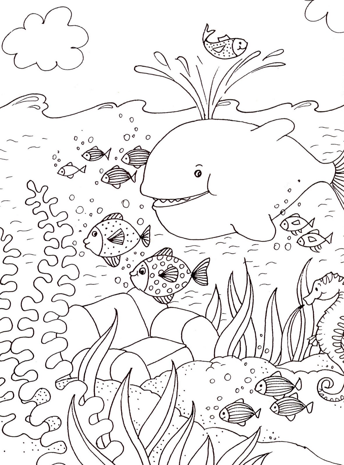 dessin orque en ligne dessin ƒ colorier bebe orque