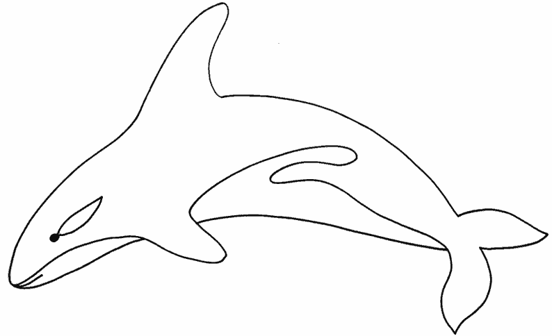 coloriage à dessiner orque imprimer gratuit