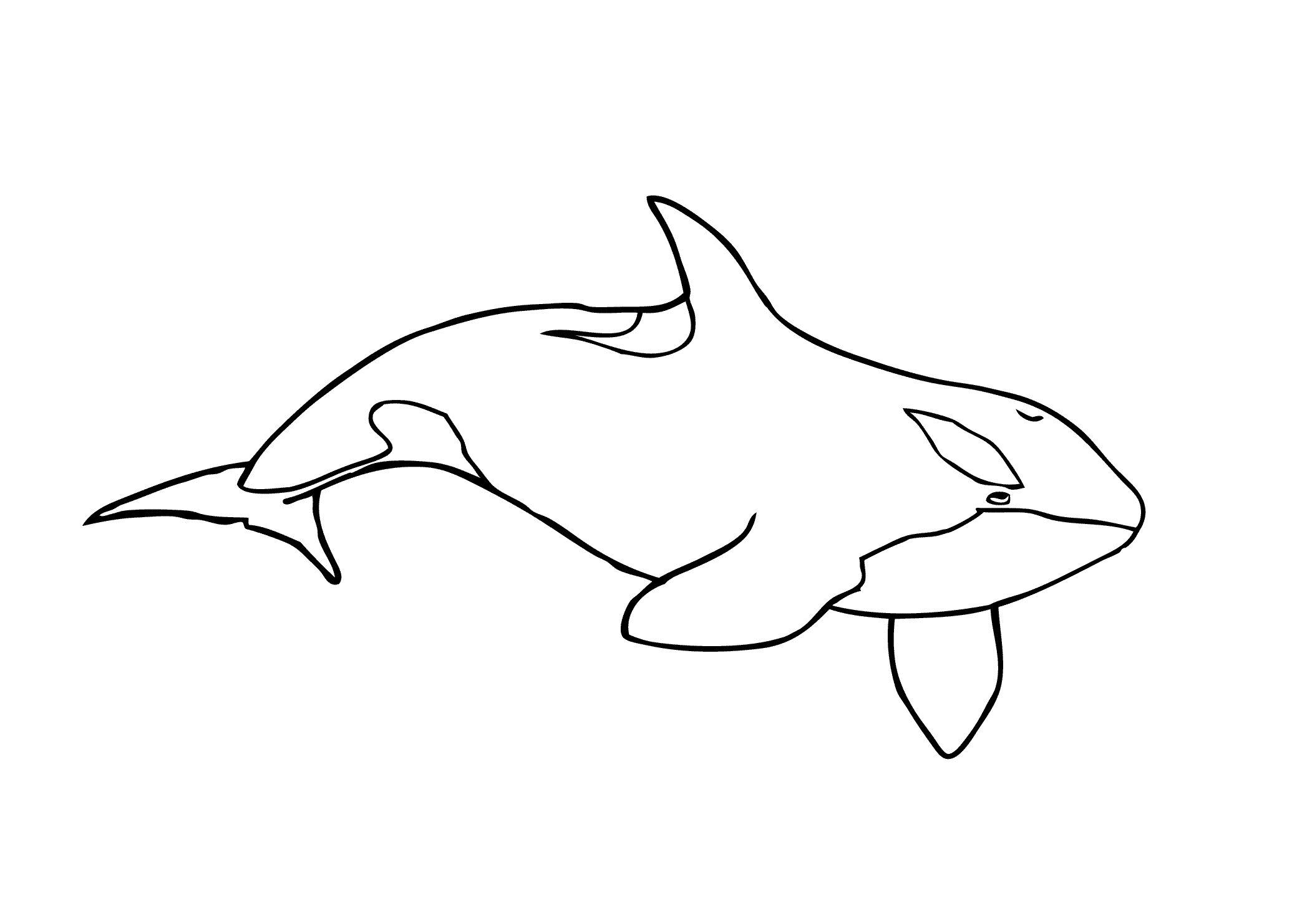 coloriage orque à imprimer