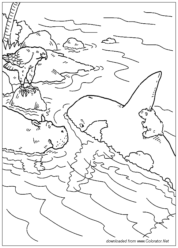 dessin d'orque à imprimer
