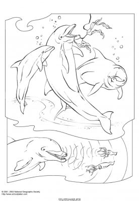 dessin orque  imprimer gratuit