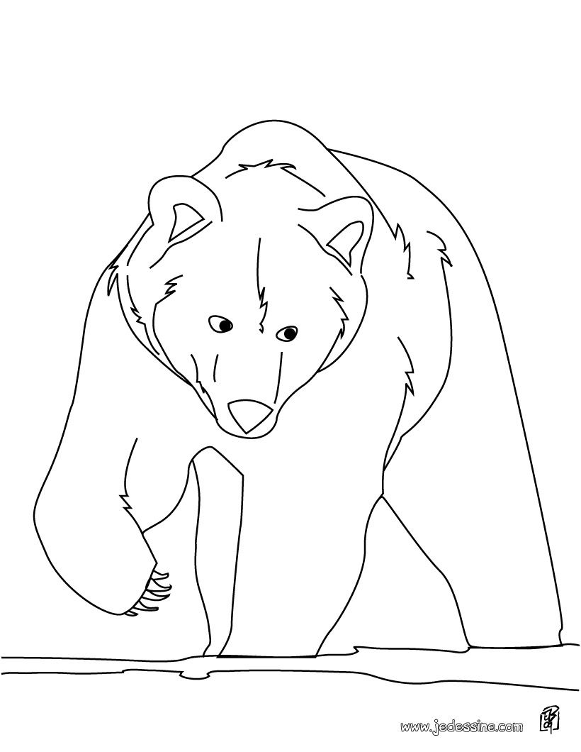 Voir le dessin
