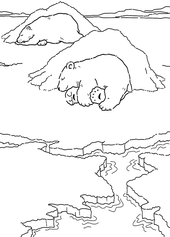 18 dessins de coloriage Ours Polaire Banquise à imprimer coloriage ours polaire banquise