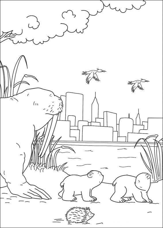 coloriage ours blanc polaire
