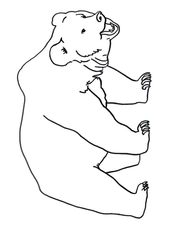 116 dessins de coloriage Ours Polaire à imprimer
