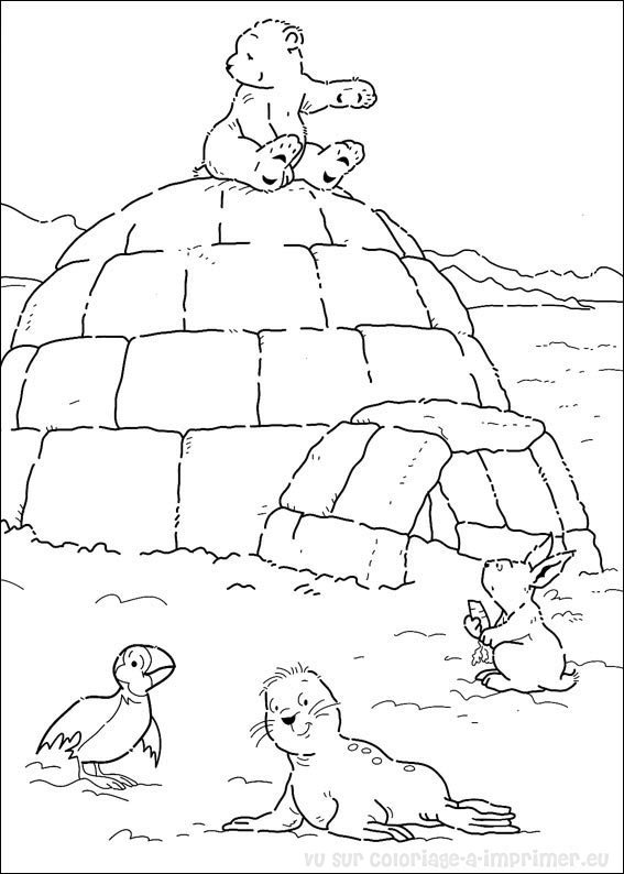 Image A Colorier Ours Polaire