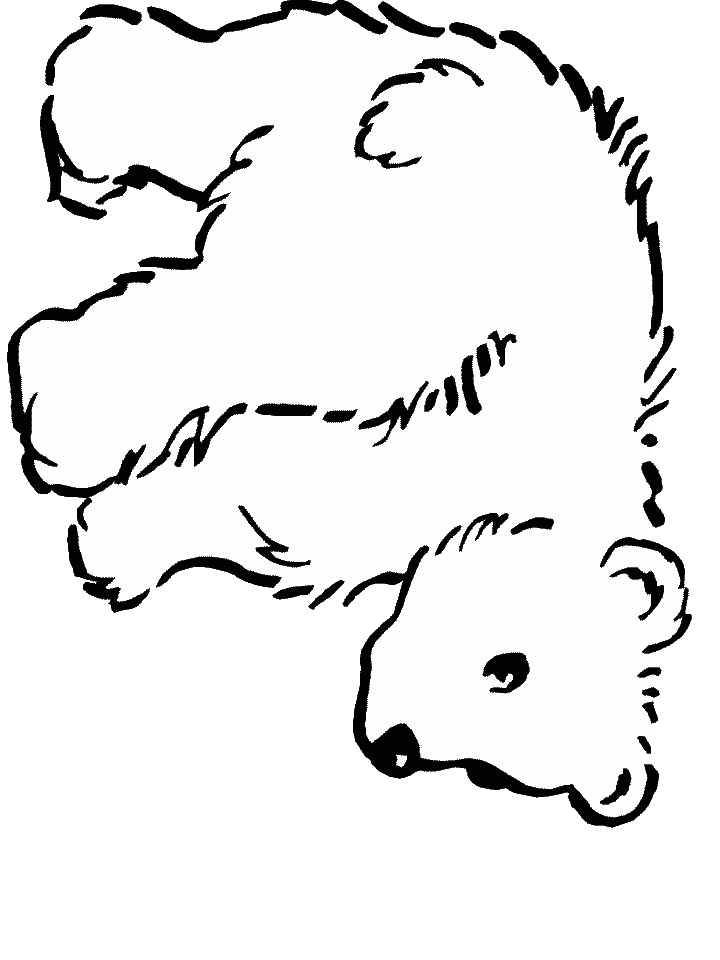 dessin ours polaire imprimer