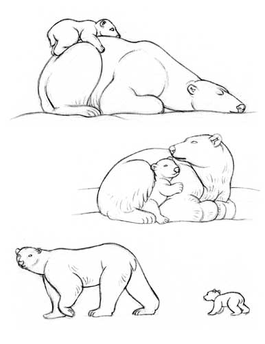 dessin d'ours polaire