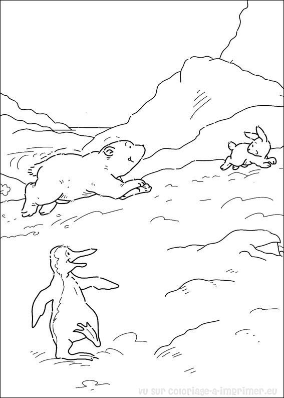 dessin à colorier plume ours polaire