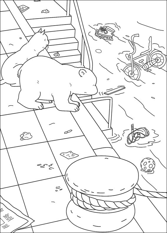 dessin plume le petit ours polaire