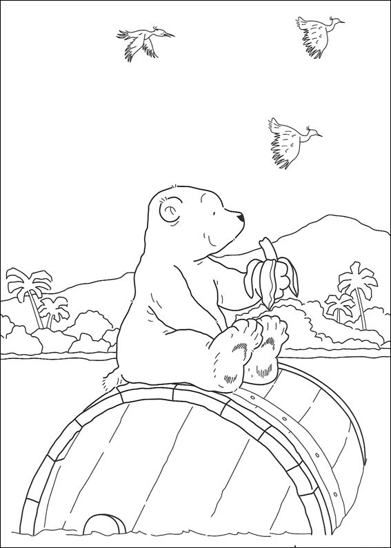 coloriage d'ours blanc