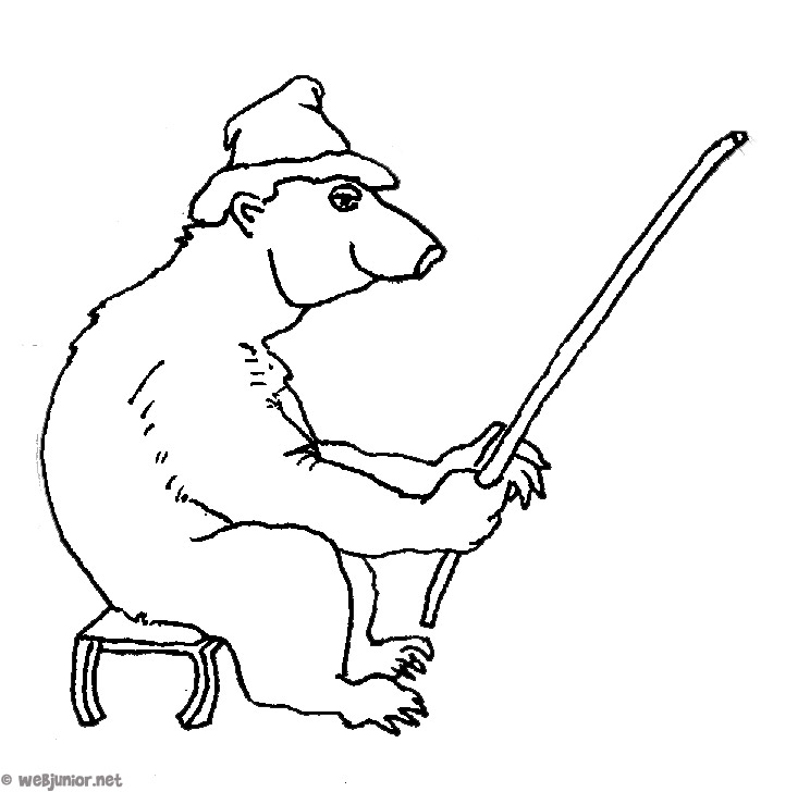 dessin  colorier ours polaire gratuit