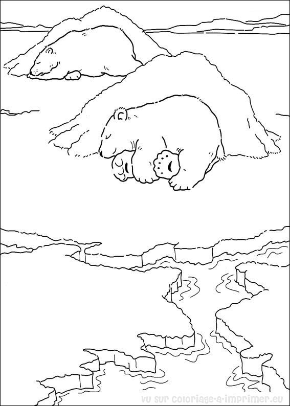 dessin à colorier gratuit ours polaire