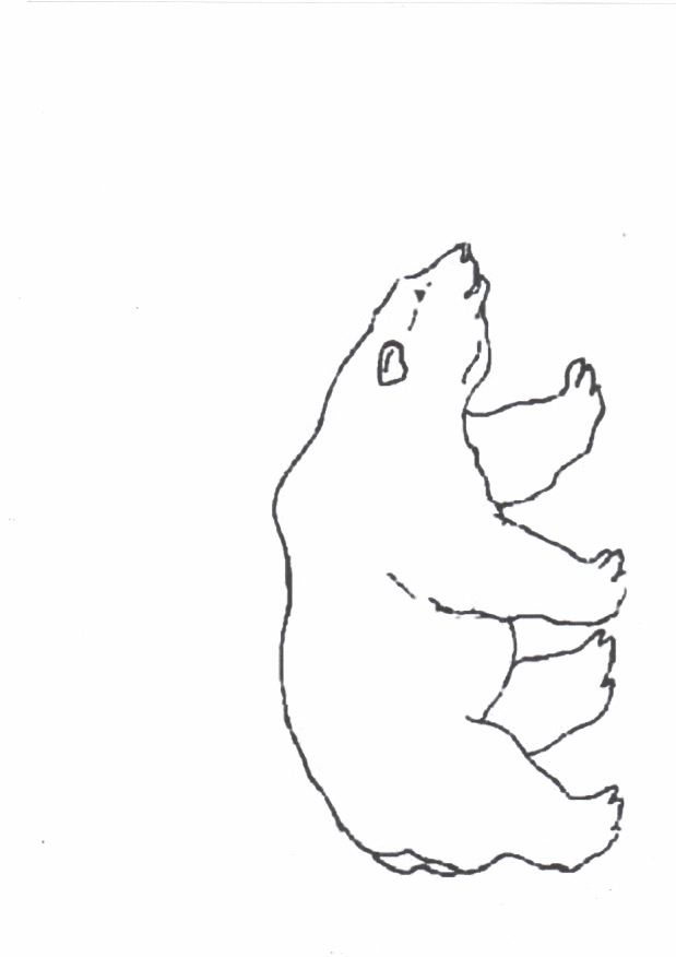 dessin à colorier ourson polaire