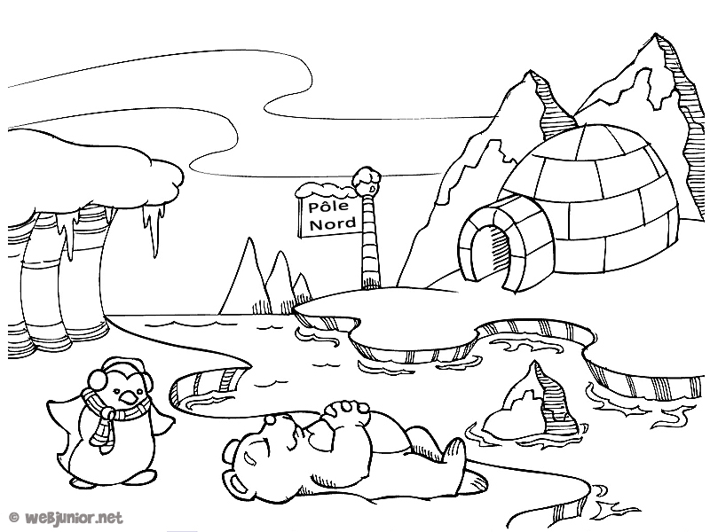 dessin  colorier plume le petit ours polaire