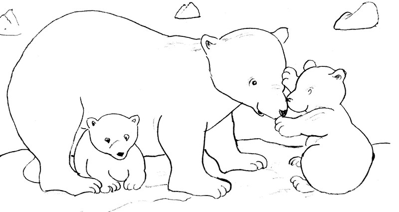 dessin  colorier l'ours polaire