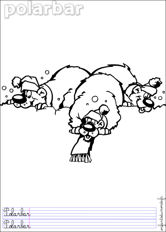coloriage d'ours polaire imprimer