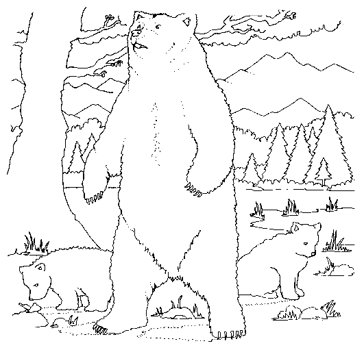 dessin à colorier ours polaire en ligne