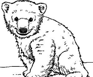 116 Dessins De Coloriage Ours Polaire à Imprimer