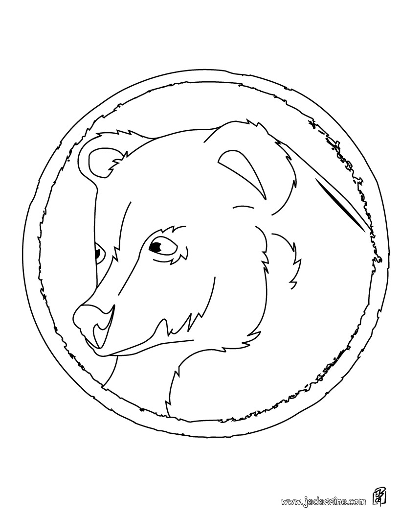 coloriage à dessiner plume petit ours polaire
