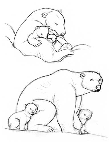 dessin plume petit ours polaire