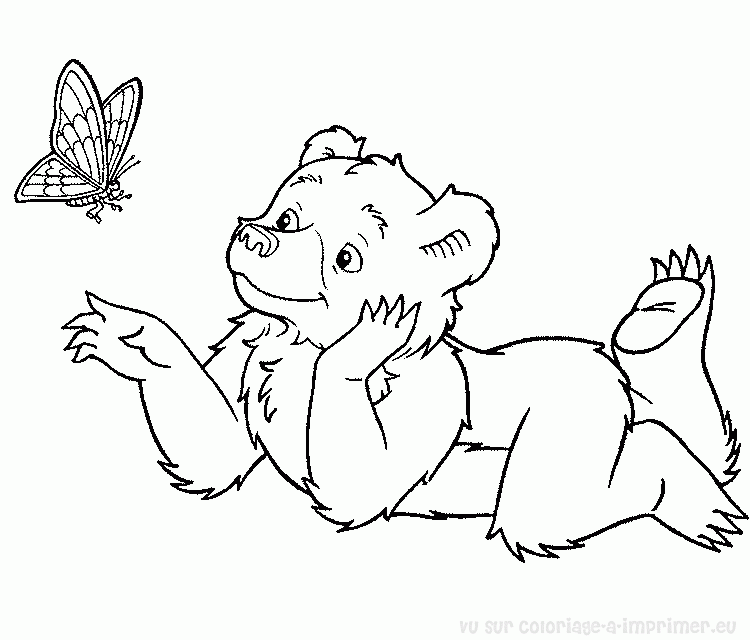 dessin à colorier ours à imprimer gratuit