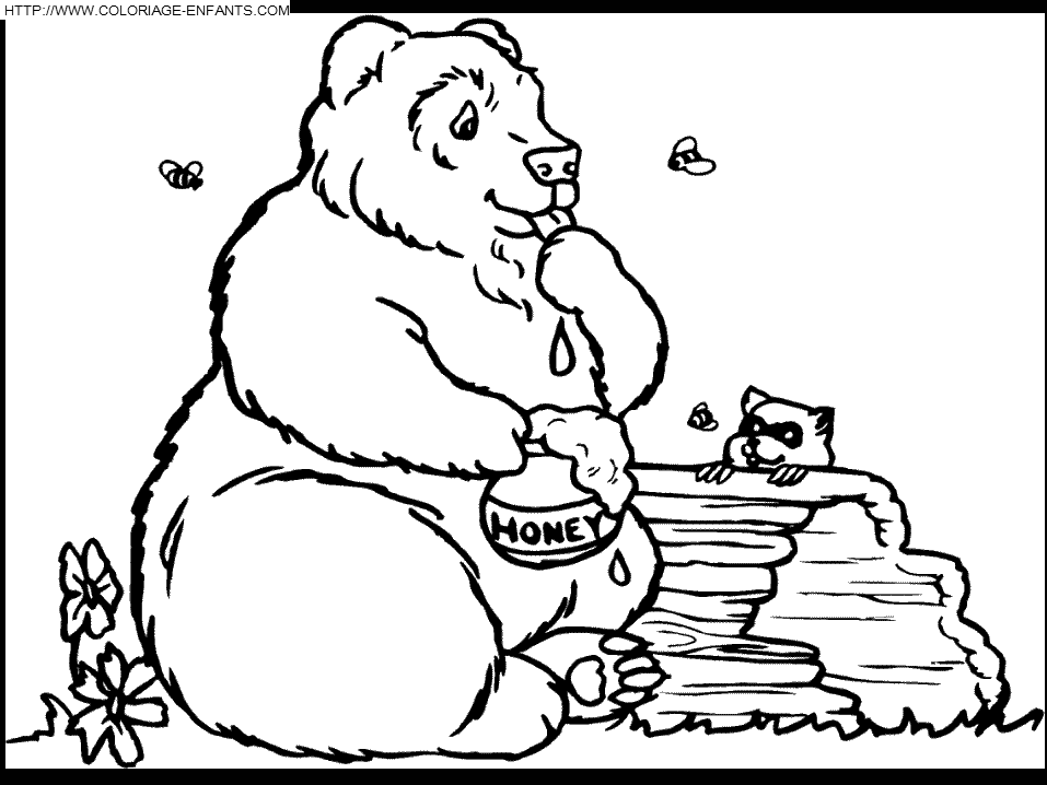 dessin ours brun à imprimer