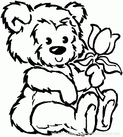 dessin de l'ours brun