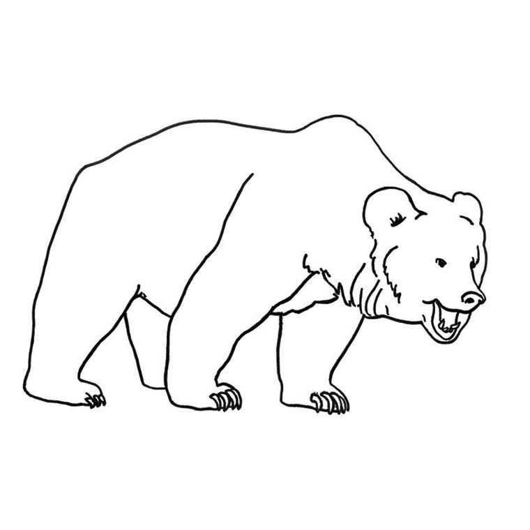 dessin petit ours brun en ligne