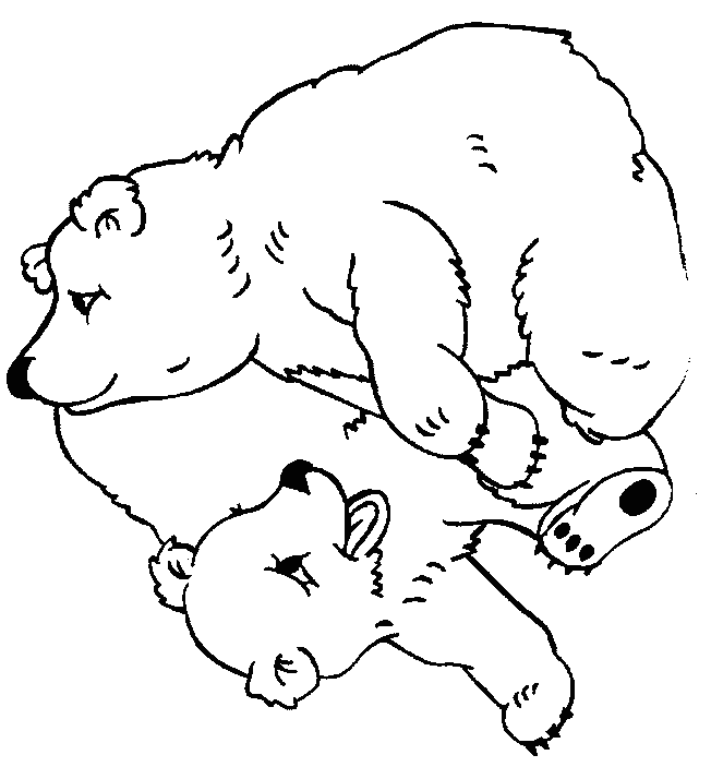 dessin à colorier petit ours brun noel