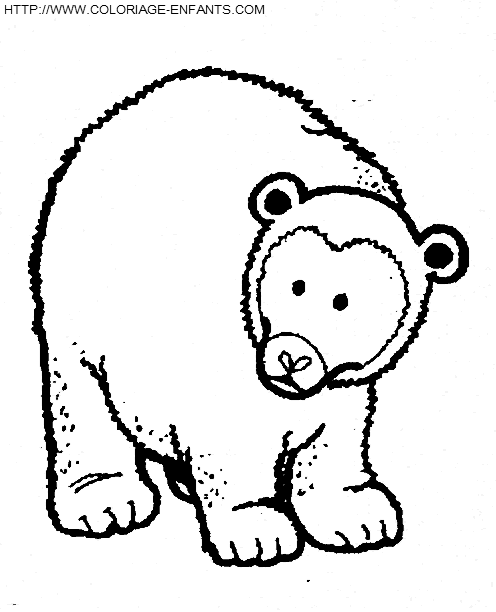 dessin ours à imprimer