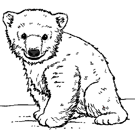 coloriage à dessiner ours avec coeur