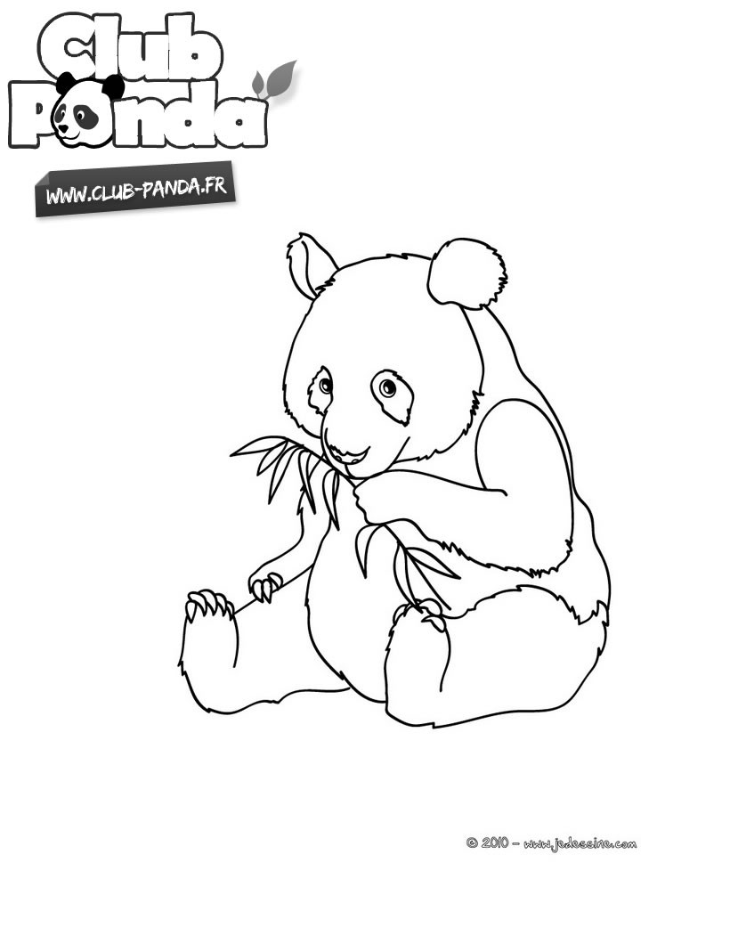 coloriage mandala panda