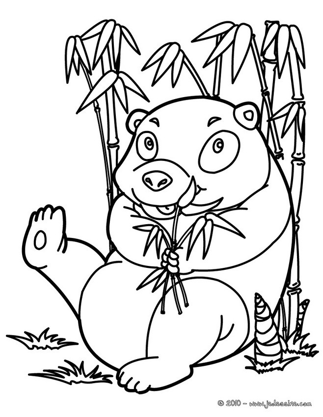 coloriage à dessiner de panda géant